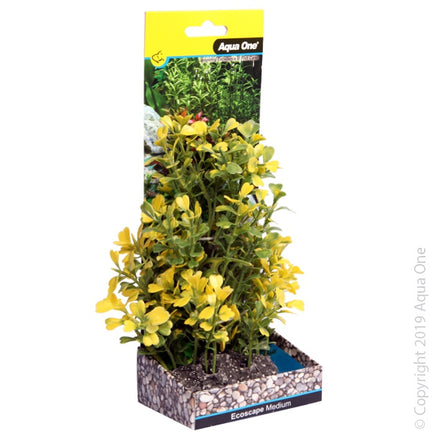 AQUA ONE ECOSCAPE MEDIUM JAPANESE BOX PLANT YELLOW - Www.goldfishpagoda.co.nz