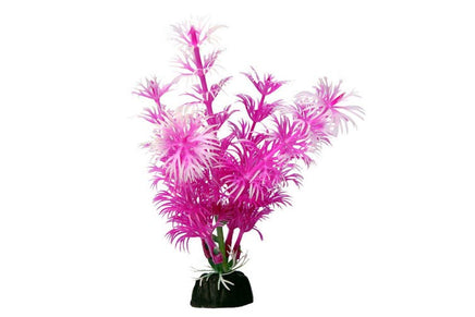 Aqua One Bettascape Ambulia Pink 14cm - Www.goldfishpagoda.co.nz
