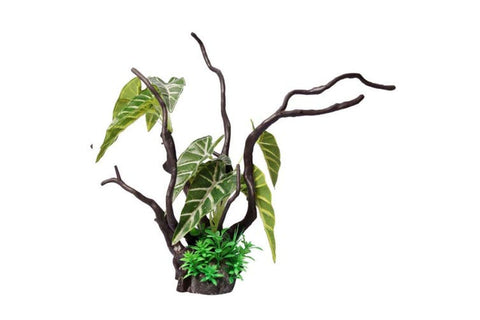 Aqua One Philodendron Driftwood