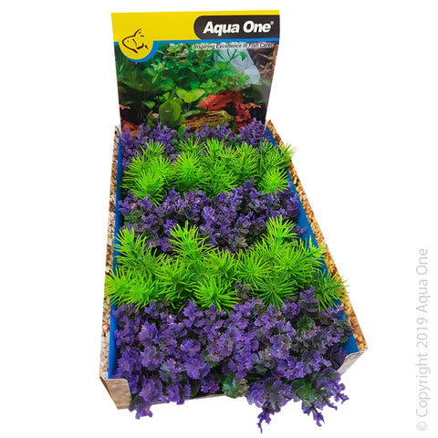 Ecoscape Foreground Catspaw Pu/ambulia GN Mix Punnet