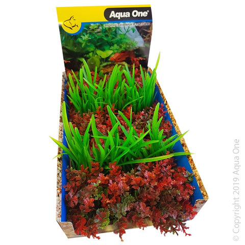 Ecoscape Foreground Catspaw R/lilaeopsis GN Mix Punnet