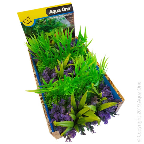 Ecoscape Foreground Catspaw W/grass Pu/willow Hygro GNMIX Punnet