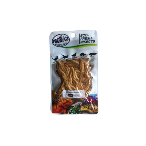 PRO BUGS MEALWORMS 20G