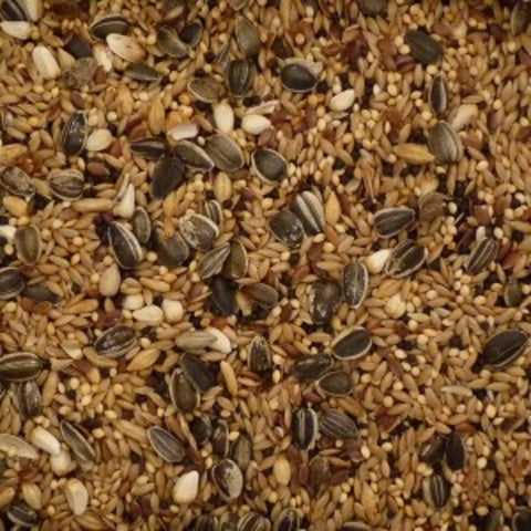 Tui Bird Seed Cockatiel Mix 500gm