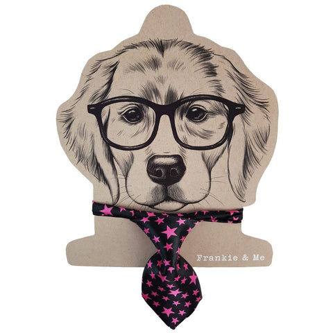 Satin Dog Tie Assorted