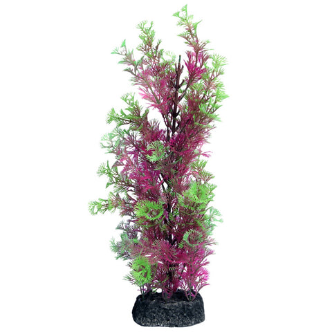 Aqua One Eco Scape Camomba Pink