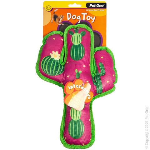 Dog Toy - Squeaky Watermelon Cactus